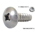 サンコ−タイト＋Ｂタイプ　トラス 鉄 三価ホワイト  5 X 20 【パック商品50本入】