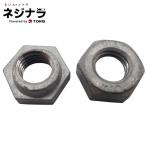 ネジナラ ハードロックナット ドブ M22 (1個)