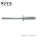 ネジナラ ブラインドリベット 鉄鉄 63 (10個入)