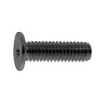 鉄 (+)超低頭ねじ(AHN) M2x4 三価黒 【100個入】