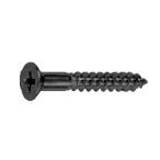 鉄 (+)皿木ねじ 3.8x22 BC(黒) 【10個入】