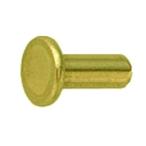 黄銅 薄平リベット 2x8 生地 【100個入】