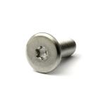 ステンレス (トルクス) スリムヘッド小ねじ M6 (太さ=6mm)×長さ=20mm　【 バラ売り ： 3本入り 】