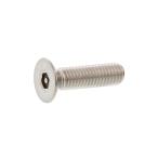 ステンレス (ピン・六角穴) サラ小ねじ M6 (太さ=6mm)×長さ=27mm　【 バラ売り ： 2本入り 】