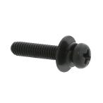 ステンレス(黒染め) (+)ナベセムス [P=3] M6 (太さ=6mm)×長さ=14mm　【 バラ売り ： 5本入り 】