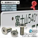  номерная табличка для болт Flat модель нержавеющая сталь ( серебряный ) 3шт.@[ болт только ]