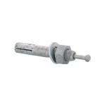 鉄/ドブ ルーティアンカー C-1060D Ｍ１０(全長:60mm)　【 バラ売り ： 2本入り 】