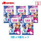 5袋セット 興和 三次元マスク 純日本製 アナと雪の女王 こども用 5枚入り×5個セット【正規品】子供用 キッズ用送料無料