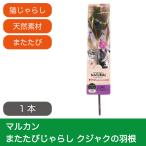  кошка для игрушка кошка ....ma LUKA n актинидия ....kjak. перо 