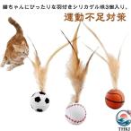  кошка игрушка 3 шт. комплект эластичность мяч перо имеется игрушка движение нехватка меры -тактный отсутствует аннулирование кошка для перо мяч удобный легкий в использовании . починка простой рекомендация внимание item 