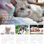 �y�ی�L�E�ی쌢���~���z�������̂��̉��� 2027�J�����_�[