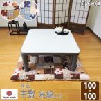 こたつ布団  こたつペット こたつ敷 こたつ中敷 正方形 ネコ 100×100 米綿入 綿100% かわいい 日本製 単品 眠り姫