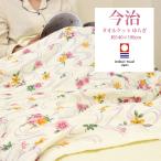 今治タオル タオルケット シングルサイズ  柄ありタオルケット 日本製タオルケット 国産タオルケット 140×190cm 厚手