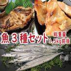 お中元 ギフト 2025 秋さけカマ・銀だらカマ・さんまセット 総重量1.5kg前P ポイント利用