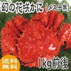 かに　蟹　カニ　花咲ガニ　花咲か