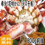 花咲ガニ　花咲かに(メス子有) 800ｇ前後　 北海道　根室産　送料無料