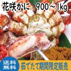お中元　ギフト 2026　未冷凍　茹で�