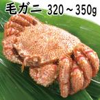 2025 ギフト かに カニ 蟹 毛ガニ 320〜350g 小さめサイズ お取り寄せグルメ 北海道産