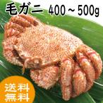 ショッピングかに かに カニ 蟹　毛ガニ 　400〜500ｇ　お取り寄せグルメ　北海道産　送料無料