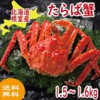  краб краб .... Hokkaido корень . производство Boyle рефрижератор .....1.5~1.6kg. покупка 2026 подарок на Bon Festival супер PayPay праздник 