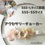  собака кошка аксессуары SSS~SS размер крем дельфиниум . золотая пыль высокий дренаж jia цветок . аксессуары короткое колье ..... Chan миниатюрный маленький размер собака домашнее животное 