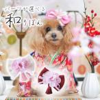  собака мир украшение Hinamatsuri лента Sakura .mini лента . кисточка. крепдешин мир украшение гребень булавка * Mini зажим * заколка можно выбрать собака аксессуары маленький размер собака миниатюрный собака 