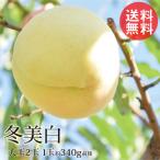  зима прекрасный белый персик .... . большой шар 2 шар Okayama зима персик белый персик прямая поставка от производителя 