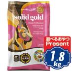 ソリッドゴールドフントフラッケンド...