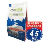 アーテミスオソピュアサーモン＆ガル...