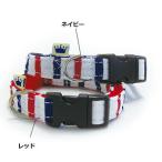 フェリークトリコロールボーダーカラ...