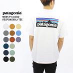 パタゴニア patagonia メンズ P-6 ロゴ レスポンシビリティー S/SL  Mens P-6 Logo Responsibili-Tee  メンズ 半袖 Tシャツ [AA]