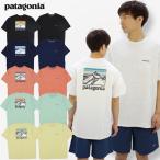 パタゴニア patagonia メンズ ライン ロゴ リッジ ポケット レスポンシビリティー S/SL  Mens Line Logo Ridge Pocket Responsibili-Tee   半袖 Tシャツ  [AA]
