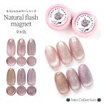 [ цвет серии ] flash магнит гель все 6 цвет flash гель магнит гель flash кружка натуральный цвет flash g Ritter ламе 