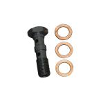 ＧＴＳ　３／８−２４　ダブルバンジョーボルト　スチールブラック