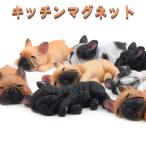  кухня магнит French bru собака все 8 вид магнит рефрижератор магнит f Rebel собака синтетическая смола 