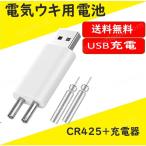 充電器＋CR425電池2本 USB充電式 電気ウキ用ピン型 リチウム電池 CR425（BR425互換）互換性 魚 釣り 竿先 ライト 経済的