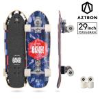  Surf скейтборд 29"/73.7cm BANG van 29 AZTRON( Astro n) ABEC9 подшипник скейтборд Surfskate серфинг 