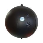OCEAN LIFE( Ocean жизнь ) чёрный лампочка ( маленький размер судовой ) JCI одобрено товар Ocean OL-A type 1 шт 