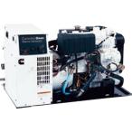 ONAN���ޥ��ǥ�������ȯ�ŵ� 11.5MDKBM