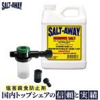 SALT-AWAY (ソルトアウェイ) 原液 946ml ミキサー付　塩害 腐食 防止剤 錆び止め メンテナンス