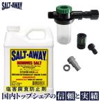 SALT-AWAY (ソルトアウェイ) エンジン フラッシング カワサキ シードゥー 原液946ml 専用ミキサー ホースアダプター