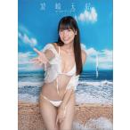 [グッズ]/波崎天結/波崎天結 [2026年カレンダー]