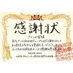 【送料無料】[DVD]/AKB48/AKB48グループ感謝祭〜ランクインコンサート・ランク外コンサート