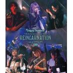 【送料無料】[Blu-ray]/Unlucky Morpheus/15th Anniversary Live Tour 2024 REINCARNATION Live at TOYOSU PIT