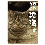 [ бесплатная доставка ][DVD]/ хобби образование /. земля кошка 
