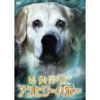 [ бесплатная доставка ][DVD]/ хобби образование / впечатление body .! Anne bi Lee babo-