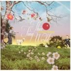 【送料無料】[CD]/松尾清憲/THIS TINY WORLD