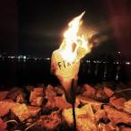 [ бесплатная доставка ][CD]/FIXED/NUM