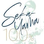 【送料無料】[CD]/SEKAI NO YAMA-CHAN/SEKA-YAMA100%