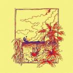 【送料無料】[CDA]/HIKARU MEETS KENICHI YANAI/EASY LISTENING?